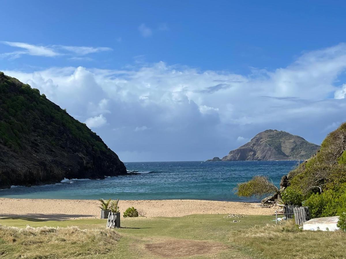 Blue Lagoon, Cottage Les Pieds Dans L Eau Terre-De-Haut Eksteriør bilde